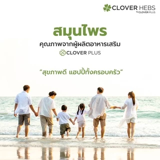 Clover Hebs By Clover Plus โคลเวอร์เฮิร์บ เมาท์สเปรย์ เปปเปอร์มิ้นท์ เมนทอล ลมหายใจหอมสดชื่น 25 ml.