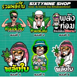 พลังใบ รวม ชุดที่1 สายเขียว พัลงกัญ