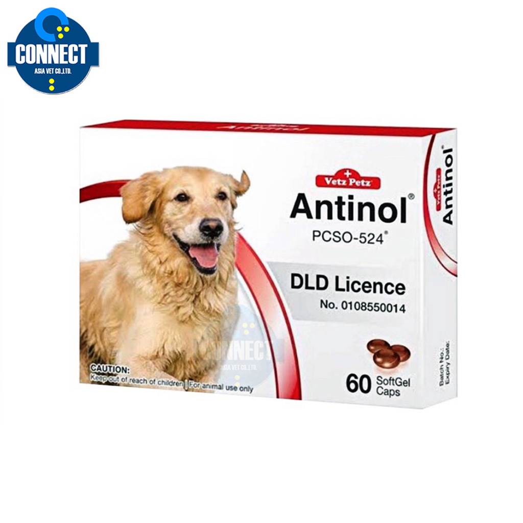 Antinol อาหารเสริมบำรุงข้อสำหรับสุนัขกระดูก ขน ผิวหนัง และไต สำหรับสัตว์เลี้ยง (1 กล่อง 60 caps)
