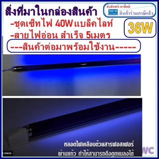 ชุดรางนีออนสำเร็จรูป blacklight(รางอิเล็กทรอนิกส์) + หลอดไฟ ล่อแมลงสีม่วง 36W T8 สายไฟยาว 5เมตร หรือ10เมตร หรือ 20เมตร