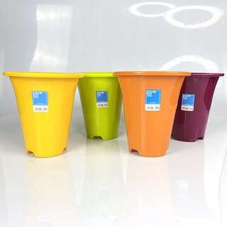 กระถางต้นไม้ทรงยาว Color Plastic Pot #6 Iris Ohyama