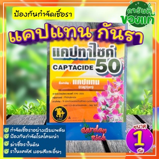 ยากันรา 💦 แคปแทน 1 กิโล (Captan - Captacide 50) ราในกระบองเพชร ไม้อวบน้ำ แคคตัส ไม้ประดับ ยาเพาะเมล็ด ฆ่าเชื้อราในดิน