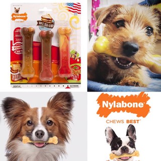 Nylabone Power Chew ของเล่นขัดฟัน