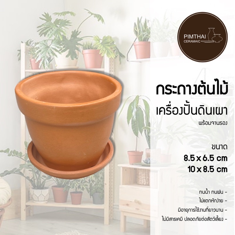 กระถางต้นไม้ดินเผา 2 ขนาด (พร้อมจานรอง) เช็คขนาดสินค้าก่อนสั่งซื้อ