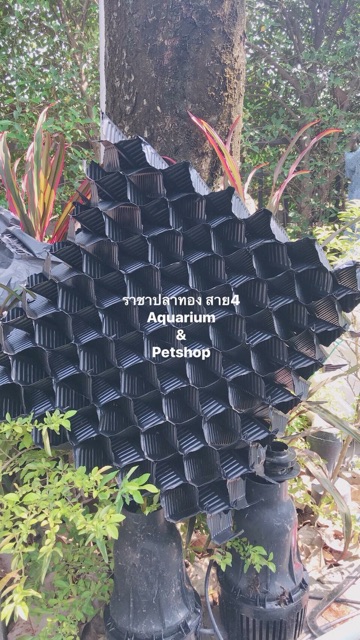 ครอสโฟว์ Cross Flow กว้าง 50 ยาว100 สูง25 ซม. กดสั่งออเดอร์ละ 1 ชิ้น - รูปที่ 2