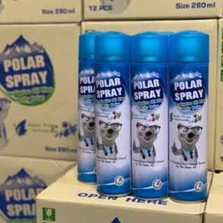 Polar spray โพลาร์ สเปรย์ ขนาด 280ml สเปรย์ปรับอากาศยูคาลิปตัส ฆ่าเชื้อโรค