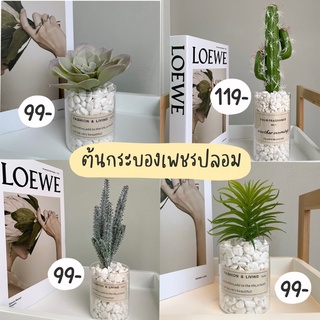 🌵ต้นไม้ปลอม ต้นกระบองเพชรปลอม วางตกแต่ง พร้อมกระถางและหิน