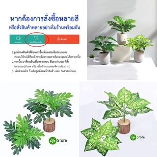 พร้อมส่งในไทย ถึงเร็วทันใจ ** ต้นไม้ประดิษฐ์ สวยงามเสมือนจริง สายพันธุ์ยอดนิยม รุ่น G33 (เฉพาะต้นไม้ไม่รวมกระถาง)
