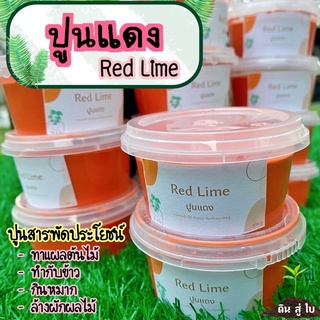 ปูนแดง (Red Lime) ปูนทาแผลต้นไม้ เนื้อปูนเข้มข้น ไม่แข็งเกินไป ทาแผลต้นไม้ ทำขนม กินกับหมากพลู แพ็คเกจกระปุกมีฝา