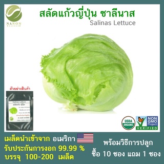 เมล็ดสลัดแก้วญี่ปุ่น จำนวน 100-200 เมล็ด