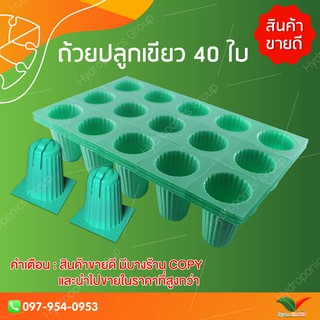 ถ้วยปลูกผักไฮโดรโปนิกส์สีเขียว 40 ใบ by hydroponicgorup