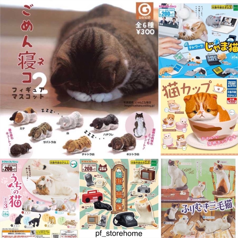 🅟🅕 [รวมกาชาปองน้องแมวอิริยาบถน่ารักต่างๆแบบครบเซตและหมวกแมวต่างๆ] 🐈🐱🪑📒🖥💻🍒☕️☎️🐈 Nekochan gashapon