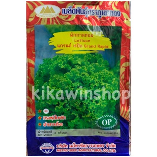 เมล็ดพันธุ์ ผักกาดหอม สลัด แกรนด์ เรปิด(10 แถม 1 คละได้)
