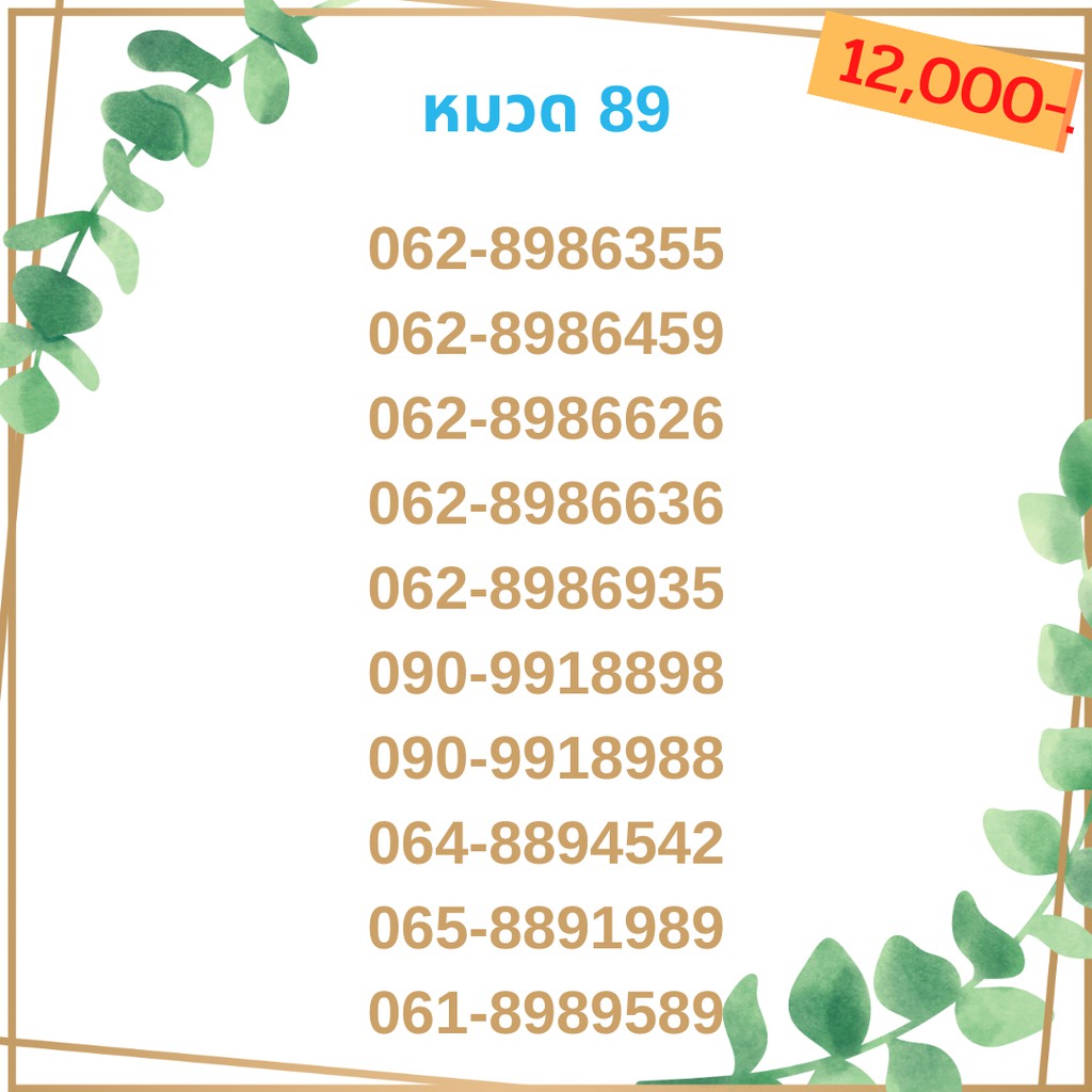 เบอร์มงคล 89เบอร์มังกร เบอร์จำง่าย เบอร์รวย เบอร์เฮง ราคาถูก ราคาไม่แพง