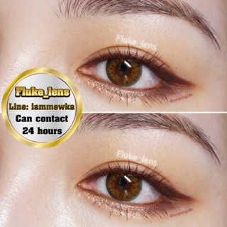 Allure brown (Protrendcolor)