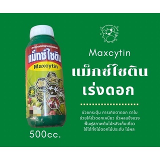 Maxcytin แม็กซ์ไซติน สาหร่ายสกัด 500cc.