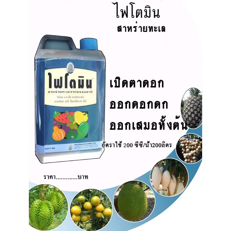 ไฟโตมิน (สาหร่ายทะเล) เร่งต้น โตไว