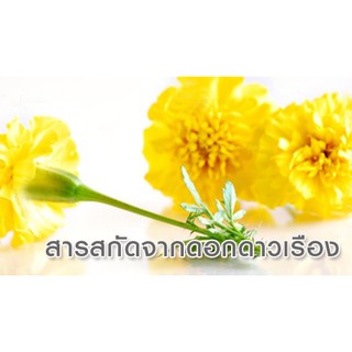 สารสกัดดาวเรือง 100ml 001333 สินค้าเป็นวัตถุดิบเครื่องสำอางค์