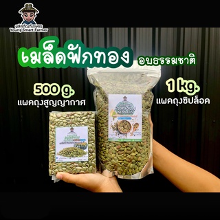 เมล็ดฟักทองดิบ เมล็ดฟักทองอบ รสธรรมชาติ ไม่ใส่เกลือ 1 Kg.(Pumpkin Seeds)