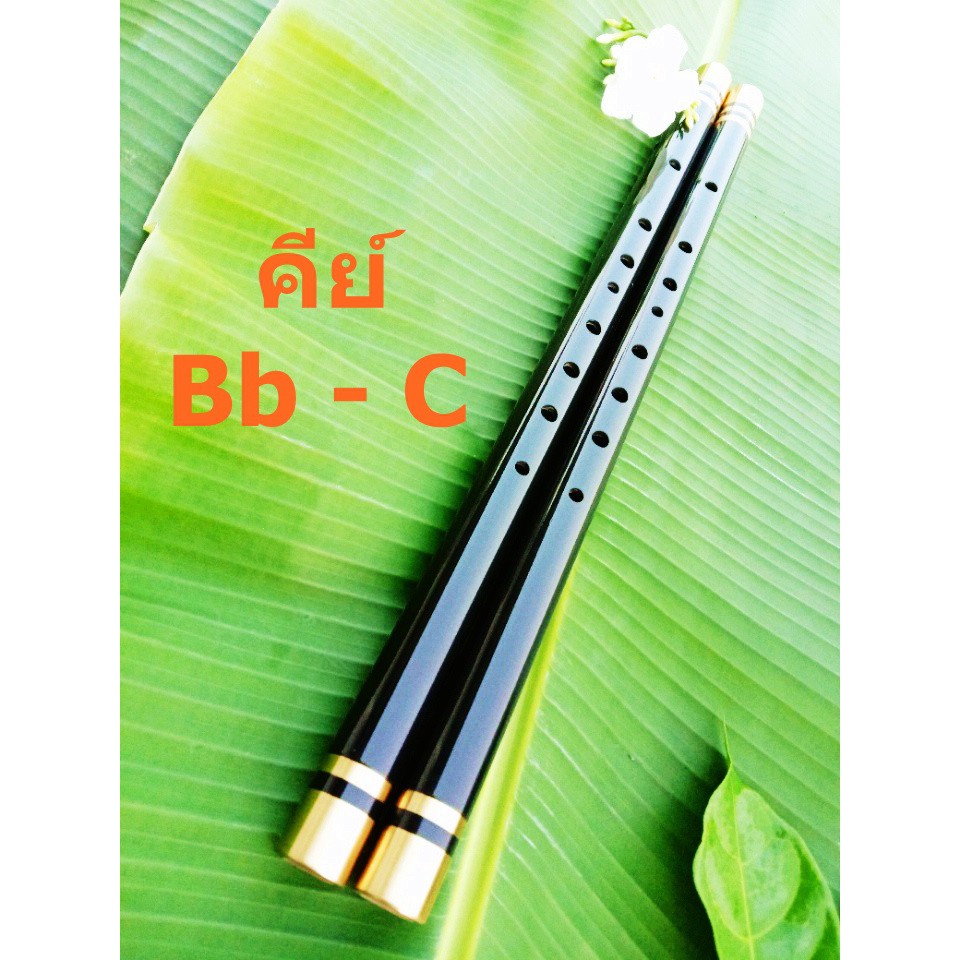 ขลุ่ย ขลุ่ยไทย ขลุ่ยเพียงออ ขลุ่ยสากล ขลุ่ย คีย์ Bb -C (บีแฟลต-ซี) ขลุ่ยแพ็คคู่ ขลุ่ยเลี่ยมทองเหลือง