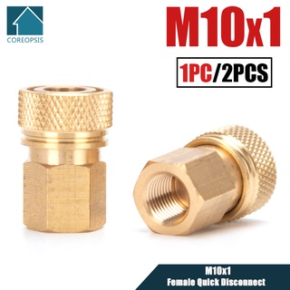 Pcp ข้อต่อนิวเมติก M10x1 ตัวเมีย ตัวผู้ เชื่อมต่อเร็ว ทองแดง 8 มม. DIY