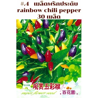 เมล็ด พริกประดับ  สายพันธุ์ OP rainbow chili pepper จำนวน 30เมล็ด