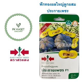 เมล็ดฟักทองผลใหญ่ลูกผสม ประกายเพชร F1 ตราศรแดง ซองแข็ง 20 เม…