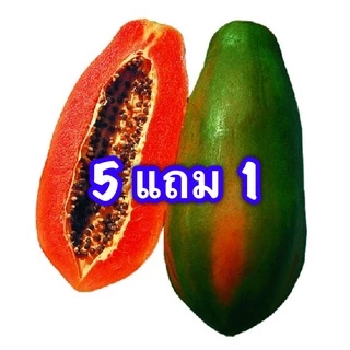 เมล็ดมะละกอ เรดเลดี้ 30 เมล็ด หวาน หอม เนื้อสีเเดง