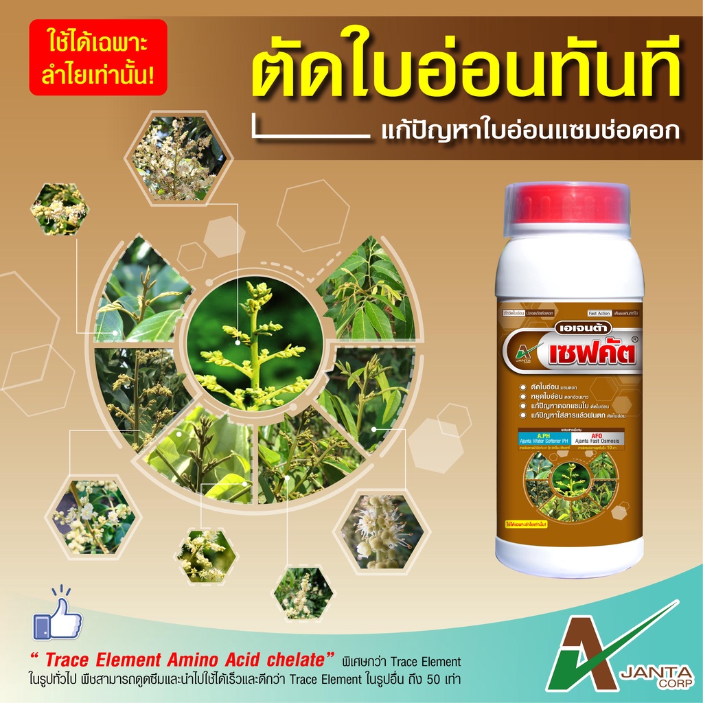 เซฟคัต ตัดใบอ่อนลำไย ตัดใบอ่อน หยุดใบอ่อน ต้นไม่โทรม เอเจนต้า คอร์ป ขนาด 1 ลิตร
