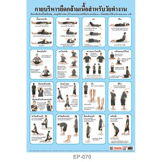 โปสเตอร์ กายบริหาร #EP-070 โปสเตอร์พลาสติก PP สื่อการเรียนรู้ รายกลุ่มวิชา สุขศึกษาและพลศึกษา