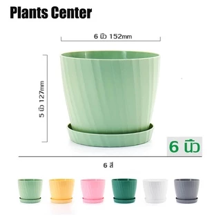 Plants Center T029 กระถางต้นไม้สไตล์มินิมอล สีพาสเทลสดใส มี 6 สี พร้อมจานรอง ดีไซน์สวย ทนทานใช้งานยาวนาน