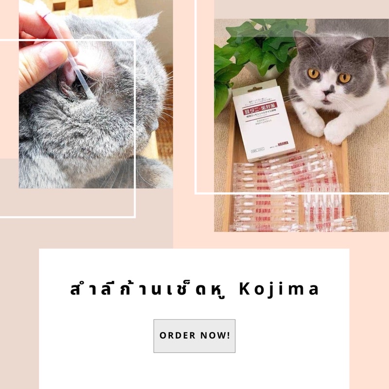 สำลีก้านพร้อมน้ำยาเช็ดหู Kojima