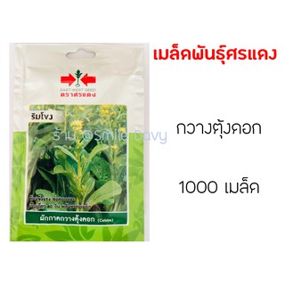 พร้อมส่ง 🚚 เมล็ดผักกาดกวางตุ้งดอก ริมโขง กวางตุ้ง ตราศรแดง