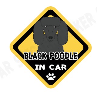 สติกเกอร์ติดรถ สติ๊กเกอร์ติดรถยนต์ สติกเกอร์หมา DGA38  black Poodle dog