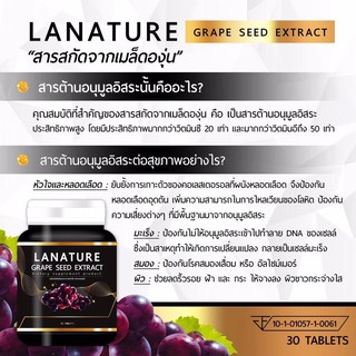 Lanature Grape Seed Extract สารสกัดจากเมล็ดองุ่น*ใหม่