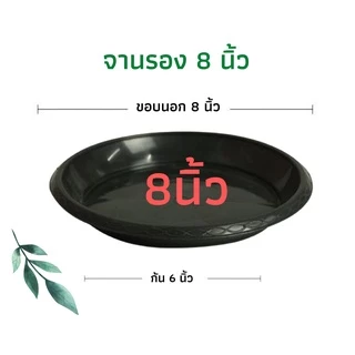กระถางต้นไม้พลาสติก กระถางต้นไม้ กระถางแคคตัส สีดำ สีขาว 8 นิ้ว 10ใบ ราคาส่ง