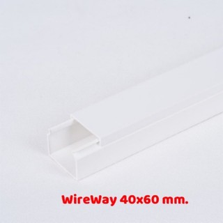 Leetech รางเก็บสายไฟ รางวายเวย์ 40x60mm. ยาว 2 เมตร สีขาว WW4060 (WTE)