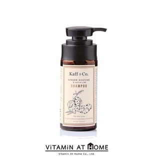 Kaff&amp;Co. 150 ML แชมพูสารสกัดเหง้าขิง น้ำมันมะกรูดสกัดเย็น  Ginger Rhizome &amp; Kaffir Lime shampoo