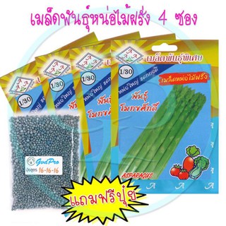 เมล็ดพันธุ์ หน่อไม้ฝรั่ง 4ซอง แถมปุ๋ยฟรี