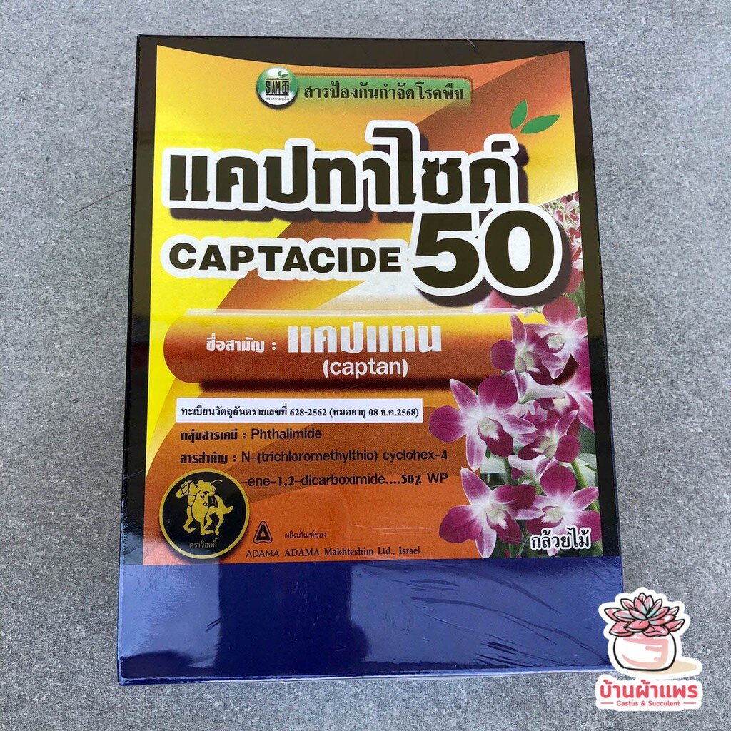 แบบกล่อง แคปทาไซด์ ยากำจัดเชื้อรา ( แคปเทน ) - รูปที่ 2