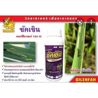 ยากำจัดหนอนม้วนใบข้าว ที่ดีที่สุดในตอนนี้ ซัคเซิน ขนาด 1 ลิตรราคาถูก