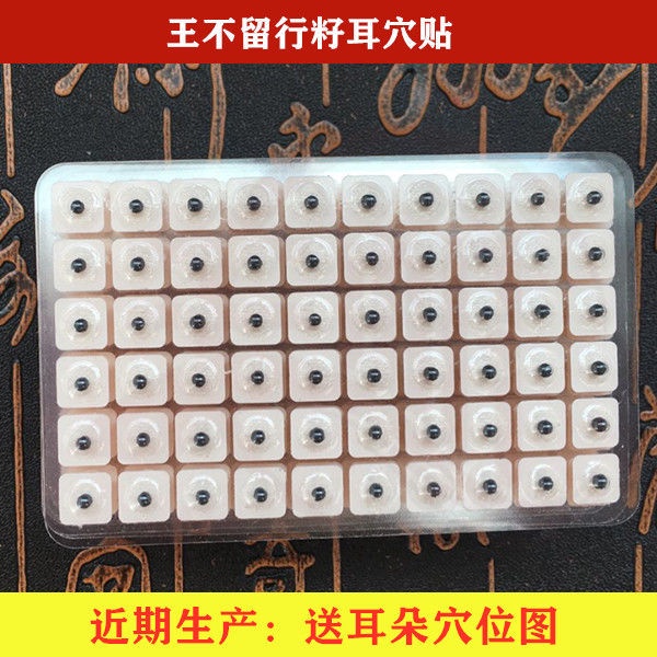 หู Acupoint Sticking Wang Bulng Seed Ear รุ่น Acupoint Ear Acupoint Sticking Wang Bulng Seed Ear Bea