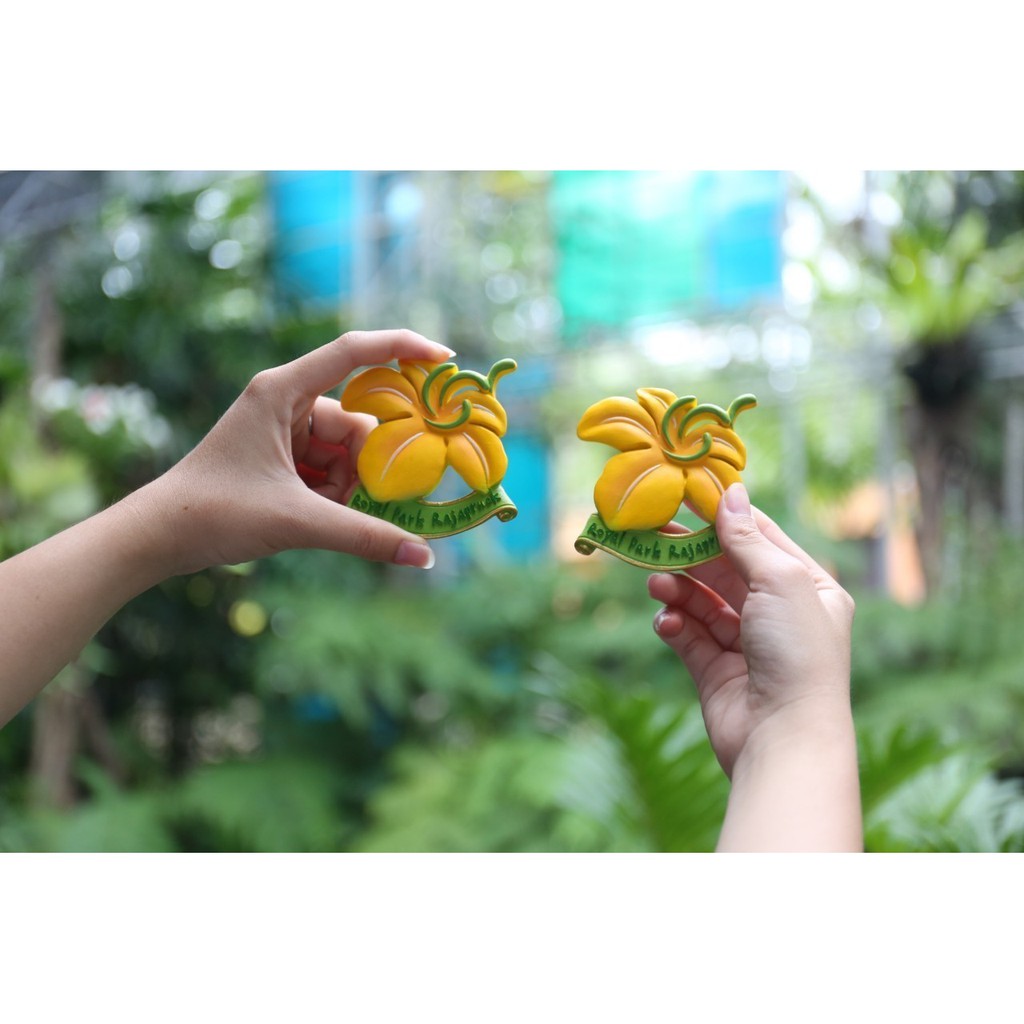 Magnetติดตู้เย็น แม่เหล็กติดตู้เย็น Magnetรูปดอกราชพฤกษ์ Magnetสินค้าของฝากของที่ระลึก [อุทยานหลวงรา