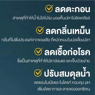 🥄ฟรีช้อนตวง‼️จุลินทรีย์ REFRESH PRO & BB Clear & 6NATURE จุลินทรีย์บำบัดน้ำ ปรับปรุงคุณภาพน้ำ และ ดูแลสุขภาพปลา