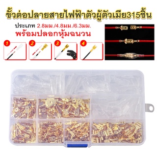 ชุดขั้วต่อสายไฟ 315 ชิ้น มีฉนวนกันความร้อน ตัวผู้ และตัวเมีย 2.8mm,4.8mm,6.3mm พร้อมกล่องพลาสติกสะดวกในการจัดเก็บ