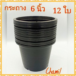 กระถางต้นไม้สีดำ 6 นิ้ว เซท 12 ใบ กระถางต้นไม้พลาสติกสีดำ ขายส่ง ราคาโรงงาน