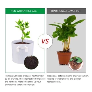 Non-woven fabric Grow bag กระถางผ้า สีขาว มีหัวหิ้ว กระถางผ้าปลูกต้นไม้ ถุงปลูกต้นไม้ กระถางต้นไม้