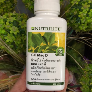 🔥ราคาพิเศษมีจำกัด🔥แคลแมกดี แอมเวย์ Cal Mag D amway แคลเซียม 250 เม็ด