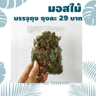 มอสแห้ง ถุงละ 29 บาท แถมฟรีคู่มือปลูกมอสทุกออเดอร์