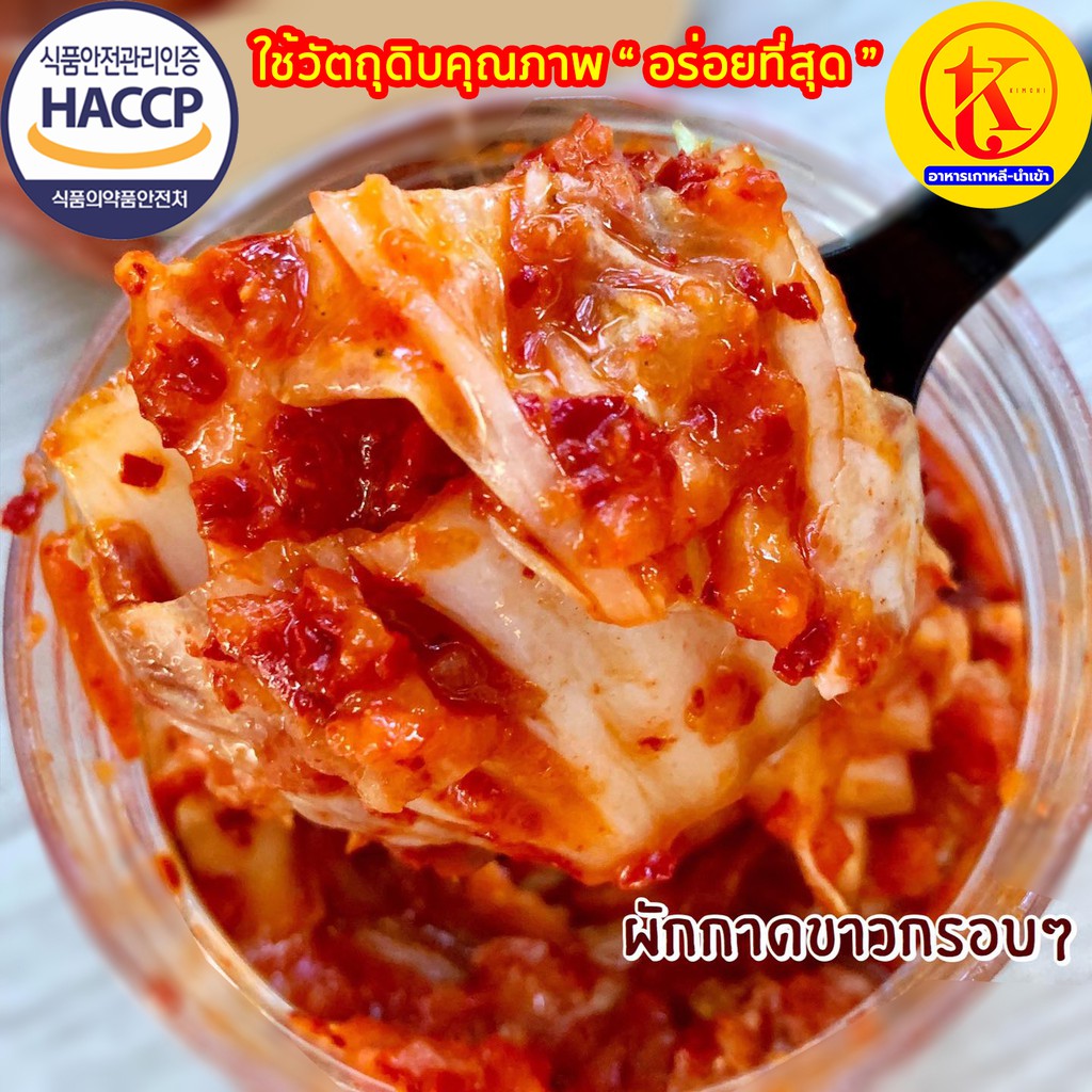 배추김치 ? กิมจิผักกาดขาว กิมจินำเข้า ? ถูกที่สุดในไทย ? by TKkimchi